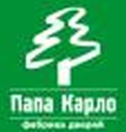Двері Папа Карло